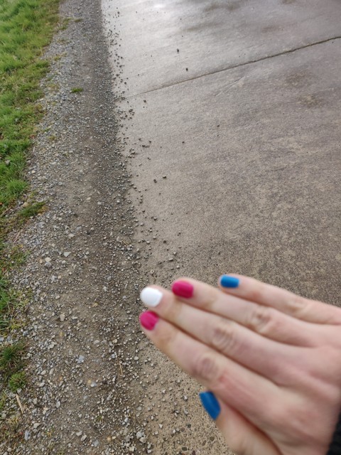 Image for Trans Day of Visibility - Pride Nails (2)